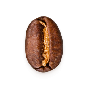 Nahaufnahme Kaffeebohne Äthiopien