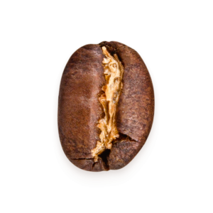 Nahaufnahme Kaffeebohne Wildkaffee Äthiopien