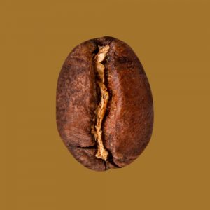 Nahaufnahme Kaffeebohne Kolumbien