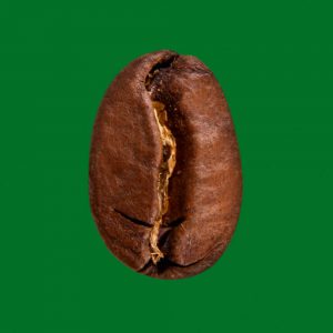 KAFFEE MANUFAKTUR - Maragogype